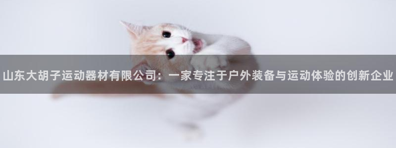 意昂4娱乐首页官网下载：山东大胡子运动器材有限公司：一家专注