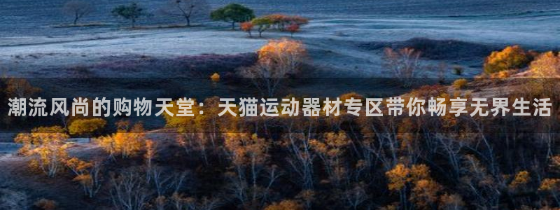 意昂4集团：潮流风尚的购物天堂：天猫运动器材专区带你畅享无界