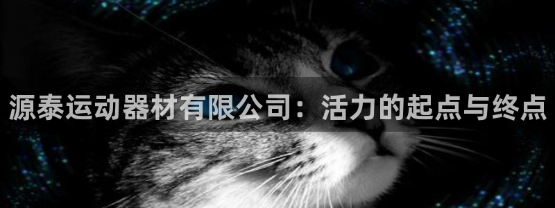意昂体育4平台是正规平台吗安全吗：源泰运动器材有限公