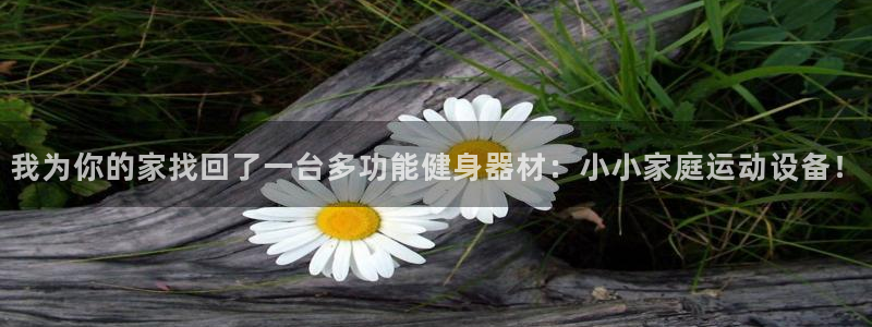 意昂体育4是干嘛的公司：我为你的家找回了一台多功能健