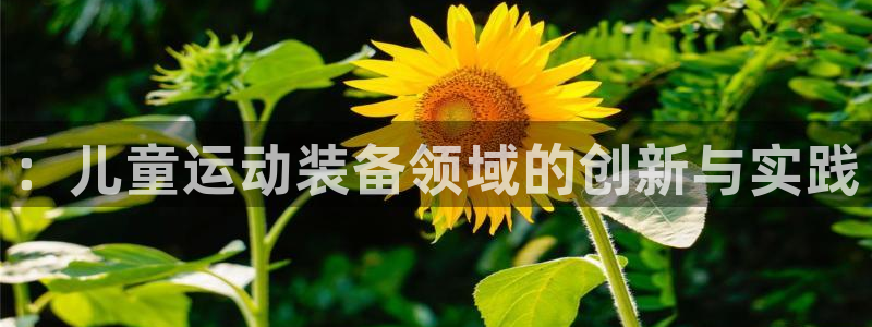 意昂体育4平台：：儿童运动装备领域的创新与实践