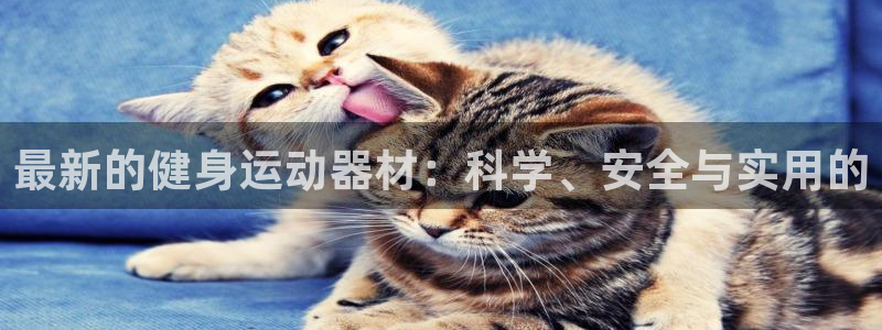 意昂4娱乐40996：最新的健身运动器材：科学、安全与实用的