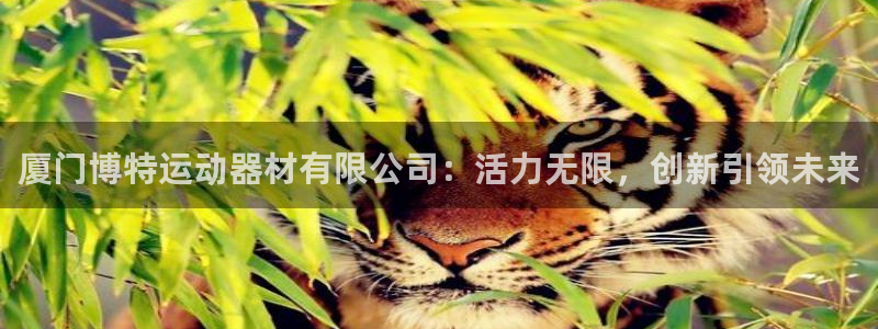 意昂体育4软件：厦门博特运动器材有限公司：活力无限，创新引领