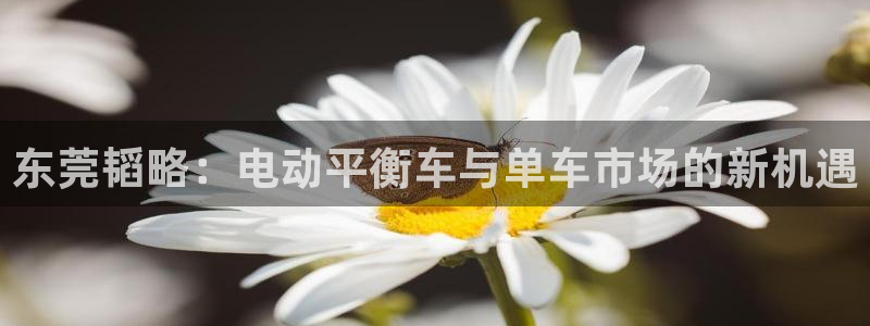 意昂4娱乐：东莞韬略：电动平衡车与单车市场的新机遇
