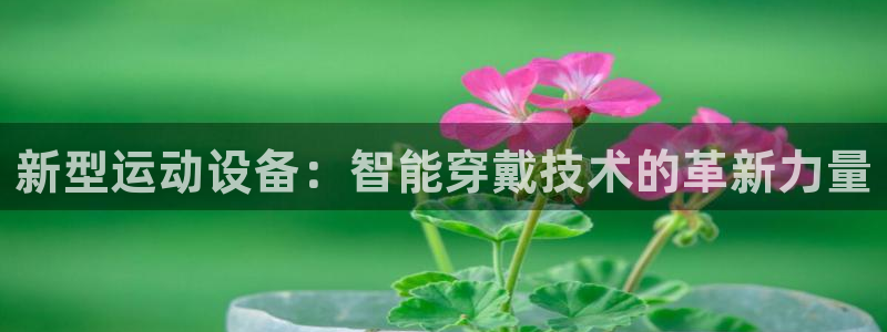 意昂体育4平台是正规平台吗安全吗：新型运动设备：智能穿戴技术