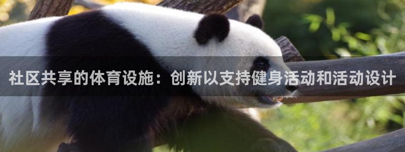 意昂体育4平台：社区共享的体育设施：创新以支持健身活